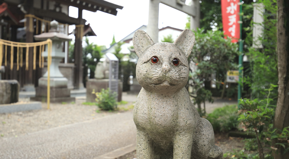 立川市砂川周辺専門