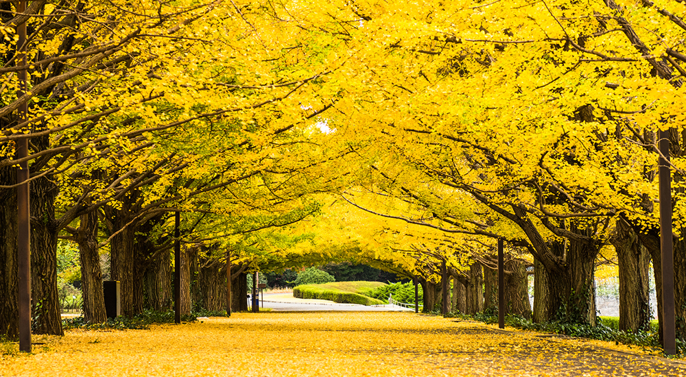 当社と取引する場合のお客様のメリット